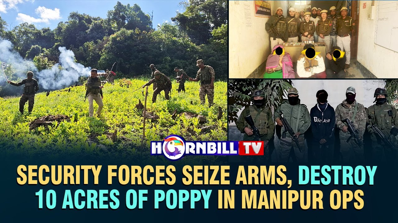 SECURITY FORCES SEIZE ARMS, DESTROY 10 ACRES OF POPPY IN MANIPUR OPS