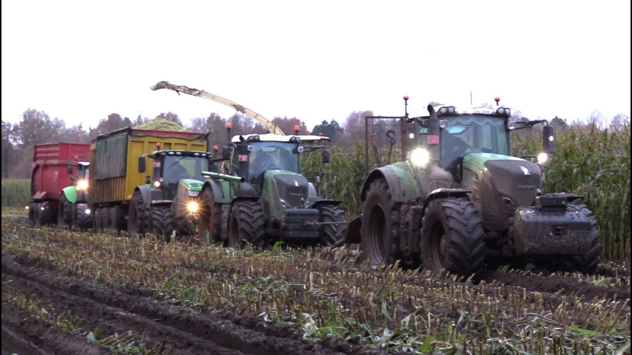 Maïs 2024 | Modderen | 3 tractors en hakselaar nodig om een wagen eruit te krijgen | Schlammschlacht