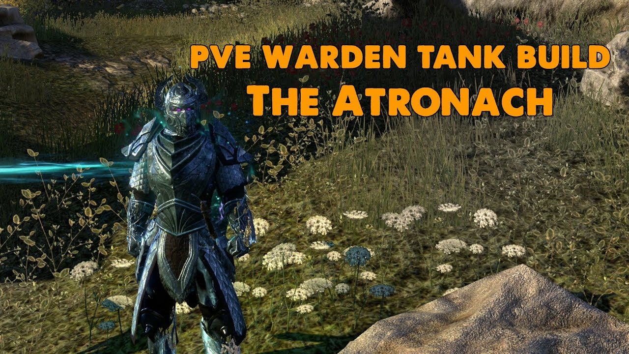 ESO - The Atronach Warden PVE Tank Build - (Dragon Bones)