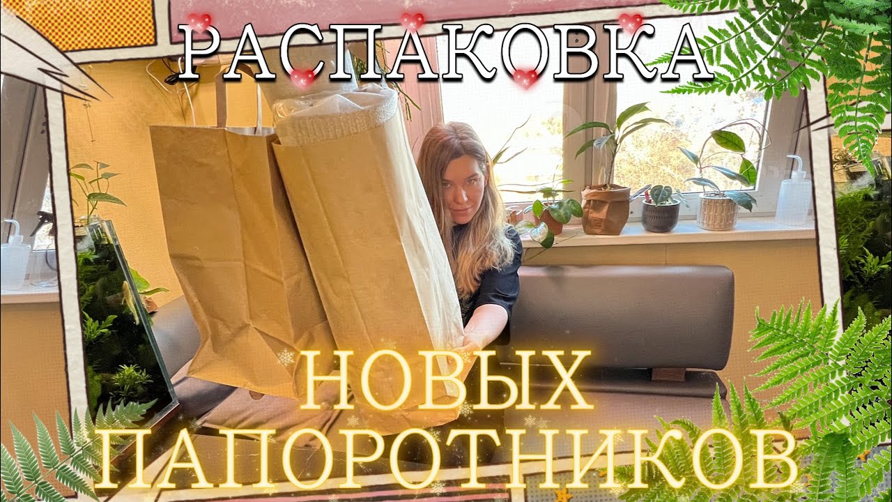 Распаковка новинок комнатных растений. Обработка растений от вредителей.