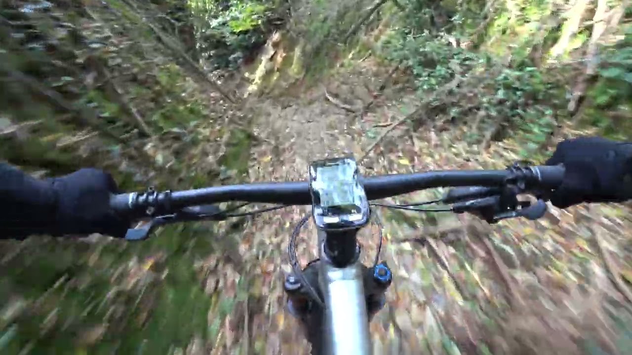 Rivalta Villarbasse Morenica di Rivoli in MTB