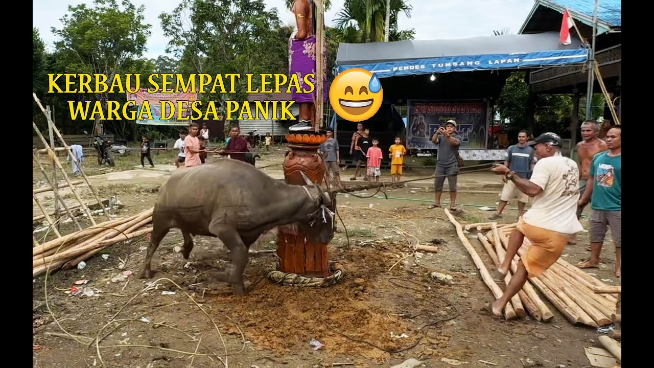 Pemugaran Sapundu, seni ukir tiang kayu khas Dayak ngaju Kalimantan Tengah Upacara Tiwah Alm Hana