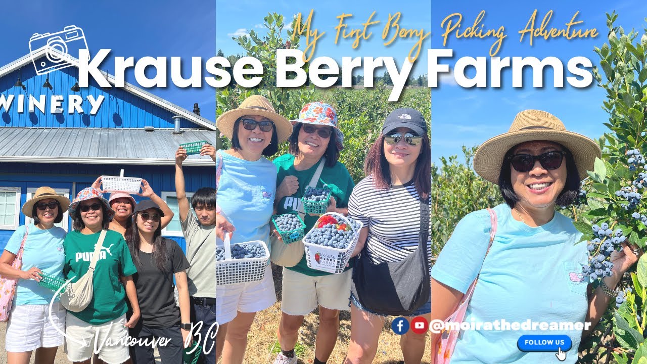 My First Berry Picking Adventure at Krause Berry Farms Vancouver BC | Pinay in ATX