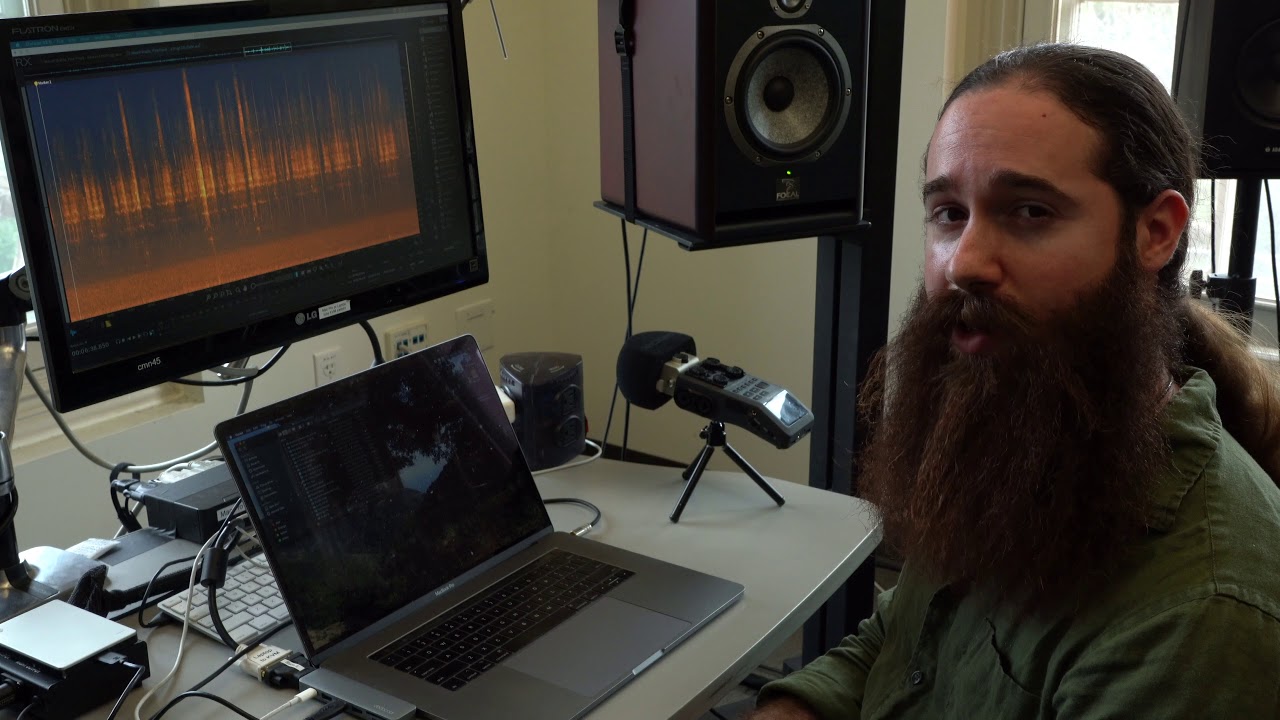 Songs of Northern California: Sound Ecology and the Music of Nature