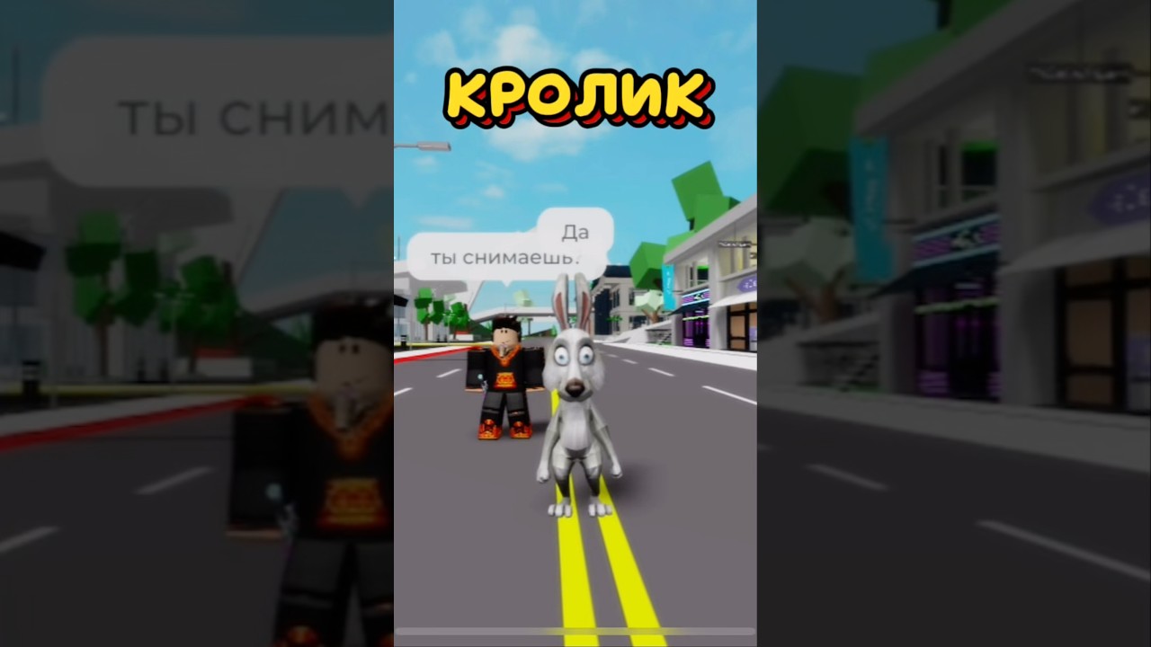 КОДЫ НА СКИН КРОЛИКА ДЛЯ БРУКХЕЙВЕН РП РОБЛОКС#roblox #brookhaven