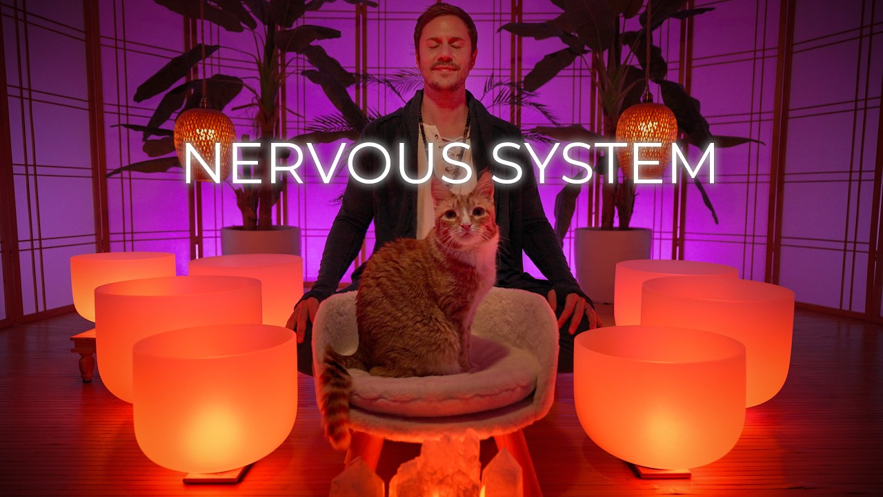 RESET Your Nervous System