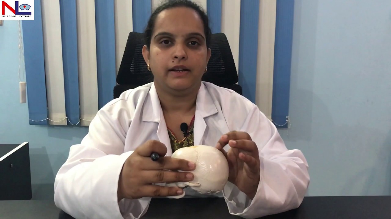 Fetal Skull | Practical Explanation | English | Nursing Lecture