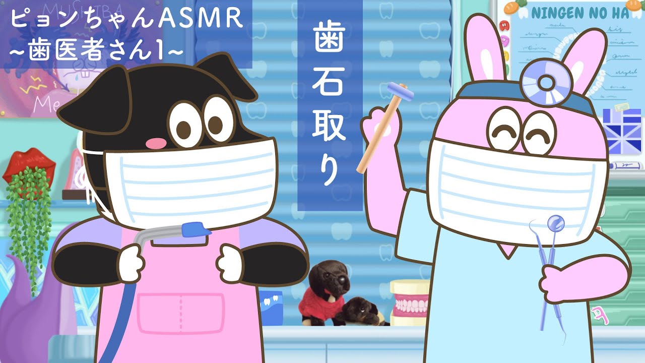 ピョンちゃんASMR〜歯医者さん１🦷〜｜歯科医RP｜Dentist｜問診 歯石取り 消毒 囁き喋り 金属音｜音フェチ
