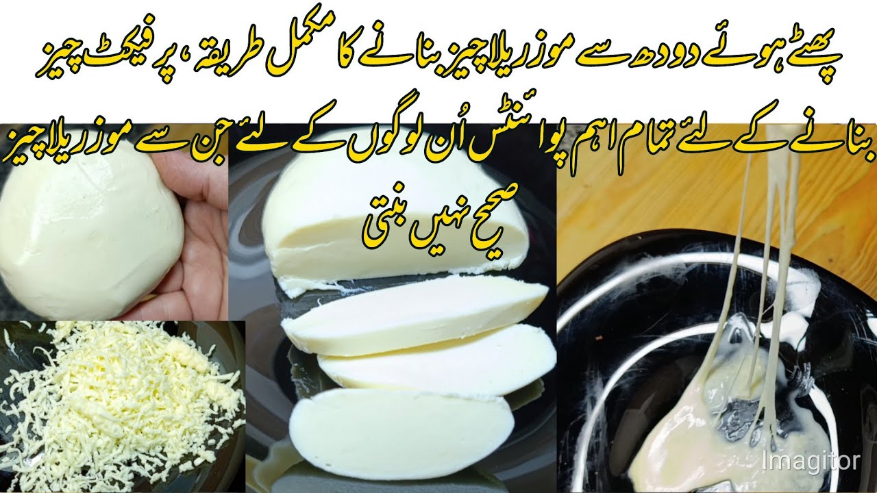 Only 2 ingredients Mozzarella Cheese recipe with spoiled milk | How to make mozzarrella cheese