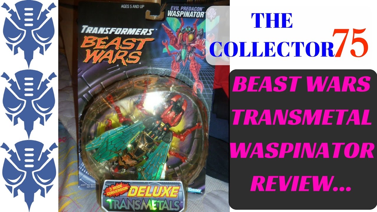 Transformers Beast Wars Transmetals WASPINATOR Review