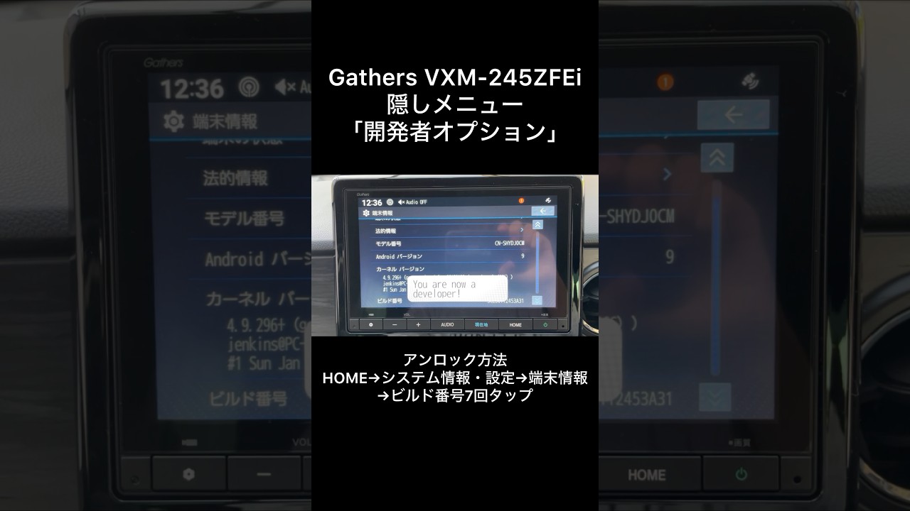 【隠しメニュー】ホンダ 8インチGathersナビ VXM-245ZFEi 開発者オプション #ホンダ