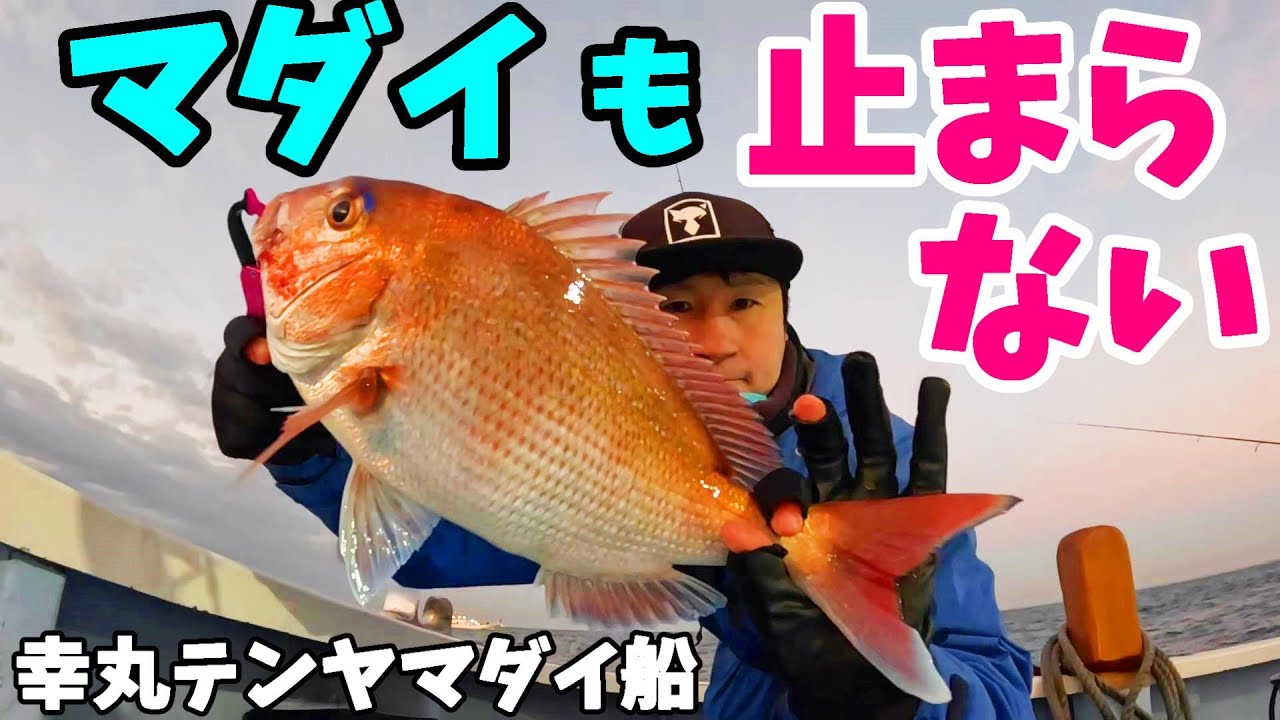 【一つテンヤマダイ】この時期行けば絶対釣れるテンヤマダイ釣りが最高過ぎました！