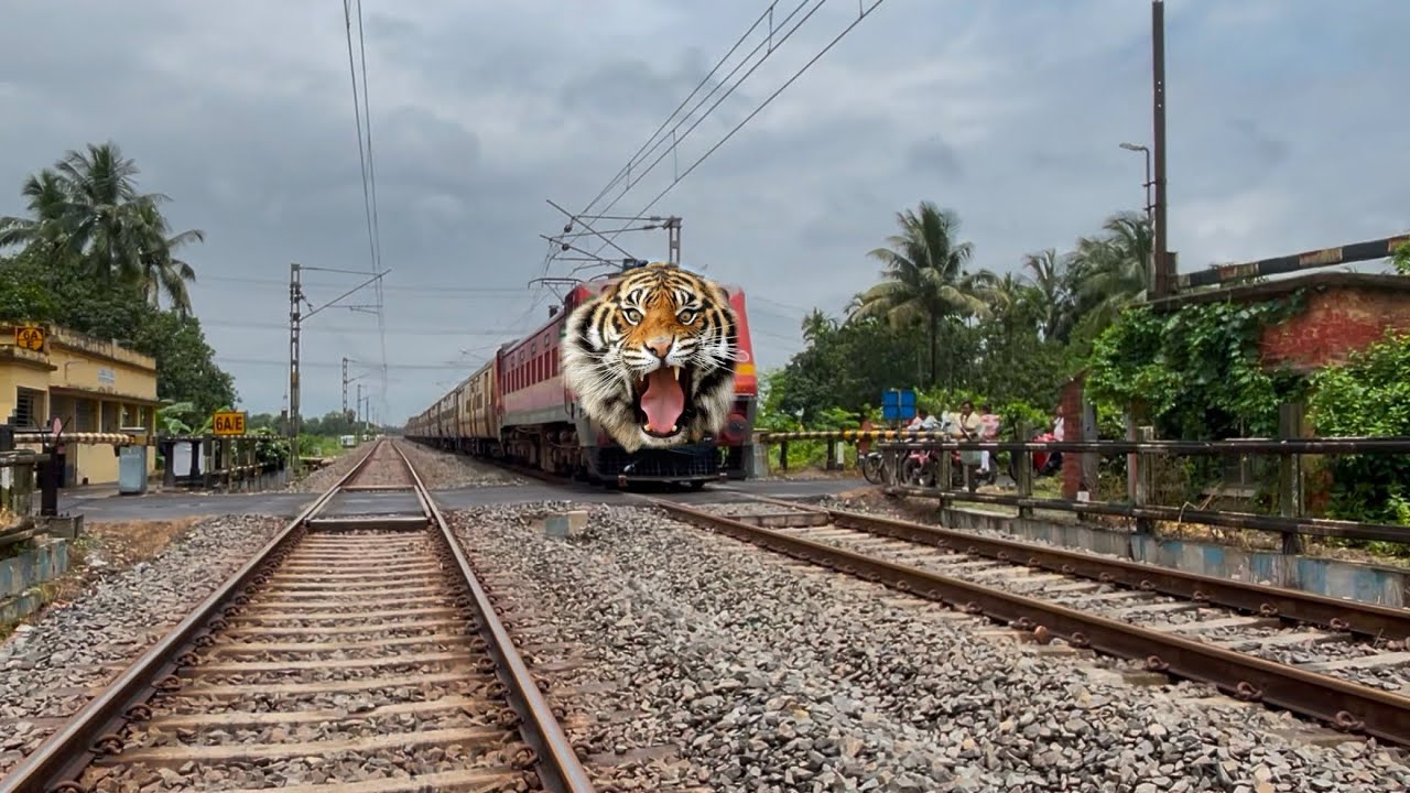 Dangerous Tiger Headed Intercity Express Furious Moving Throughout at Railgate