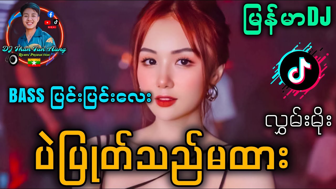 ပဲပြုတ်သည်မထား Remix '' Bassပြင်းပြင်းလေး Techno Mix 2026 '' DJ Than Tun Aung Music Production 🔊🔊