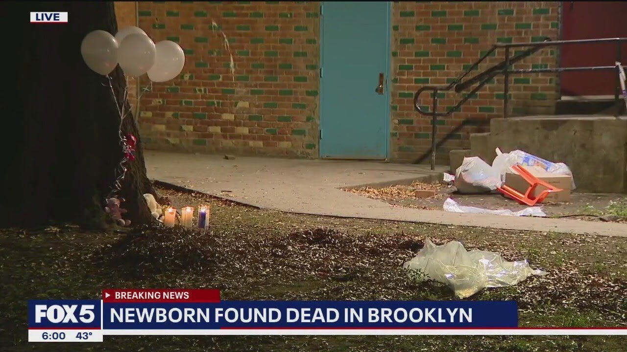 Baby found dead in bag behind Brooklyn home
