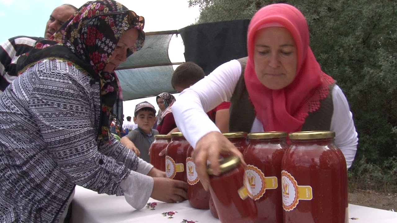 KARAHIDIR 1. ORGANİK DOMATES FESTİVALİ 2019 :ÖNER ÇALIŞ:05332358125