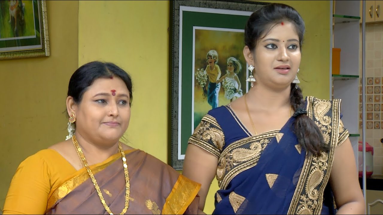 Priyamanaval Episode 233, 26/10/15