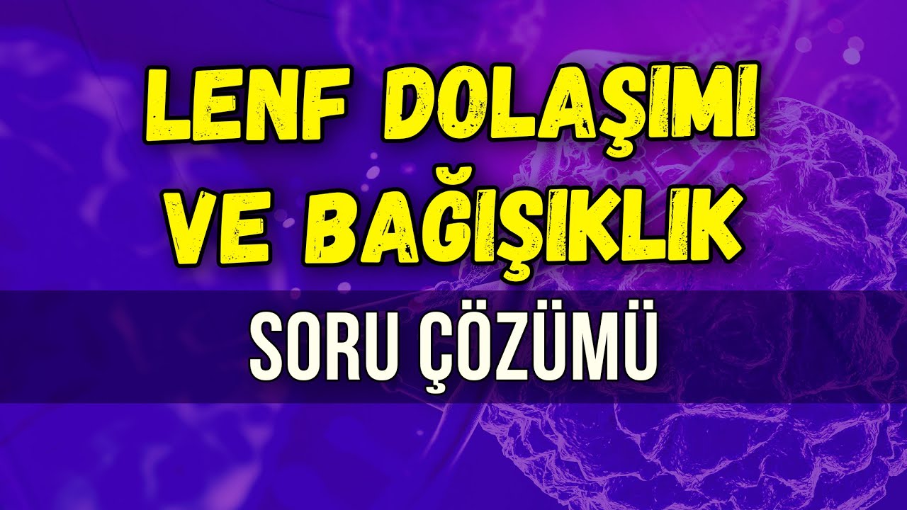 LENF DOLAŞIMI VE BAĞIŞIKLIK  SORU ÇÖZÜMÜ | Seda Hoca Biyoloji 🧬#ayt2024