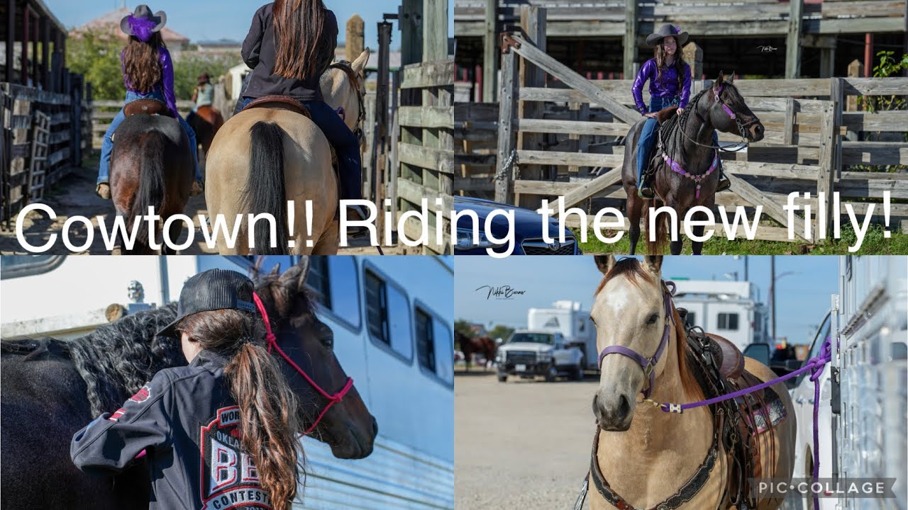 Cowtown! Riding the new filly and MORE!