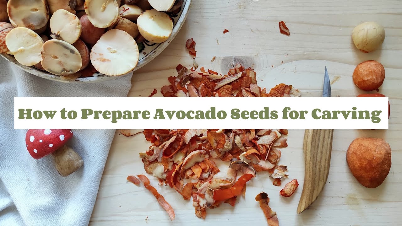 How I Prepare Avocado Seeds for Carving / ASMR video