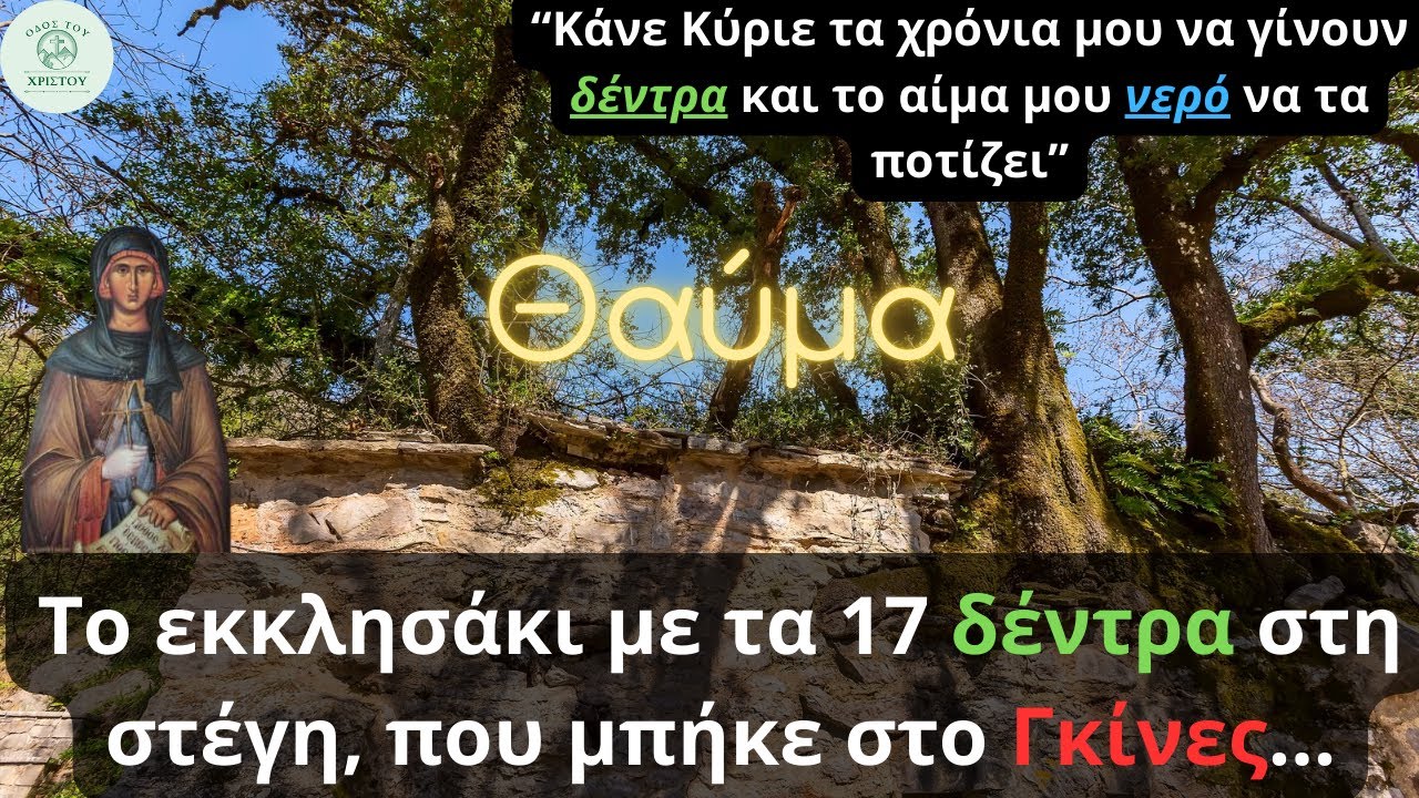 Η Αγία Θεοδώρα εν Βάστα | Το εκκλησάκι θαύμα με τα 17 δέντρα στη στέγη...
