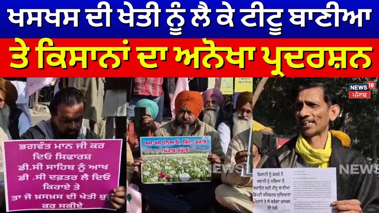 Ludhiana Titu Baniya Protest | ਖਸਖਸ ਦੀ ਖੇਤੀ ਨੂੰ ਲੈ ਕੇ ਟੀਟੂ ਬਾਣੀਆ ਤੇ ਕਿਸਾਨਾਂ ਦਾ ਅਨੋਖਾ ਪ੍ਰਦਰਸ਼ਨ | N18V