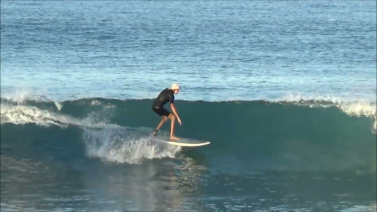 sunset surfboards twin fin fish