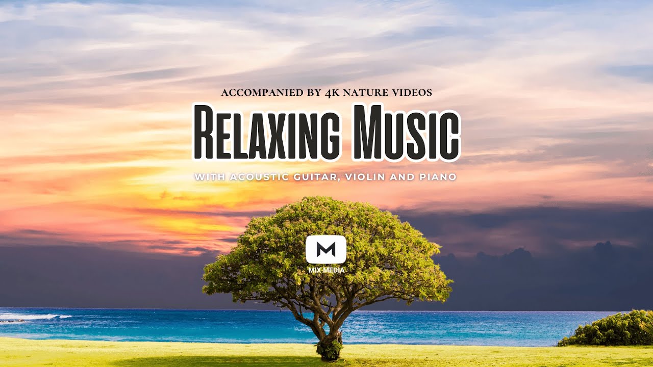 🌿Relaxing Music - 4k Nature Videos  (1 hour/non-stop)