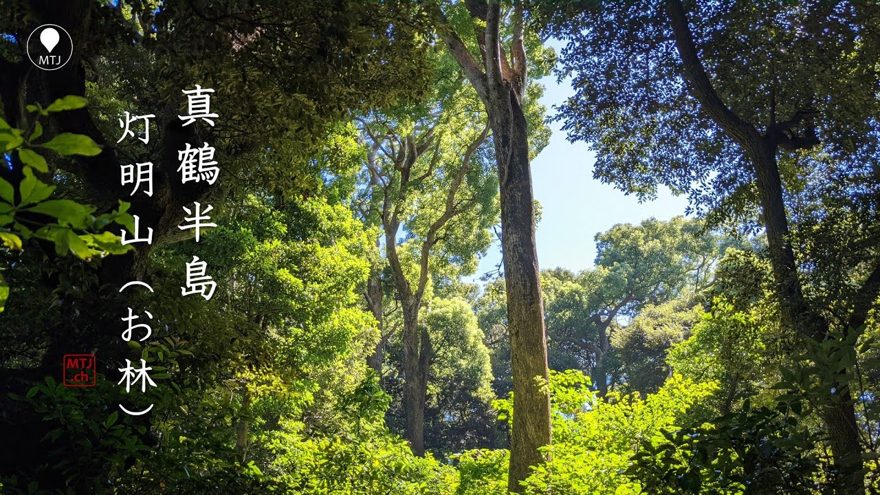 真鶴半島 巨木の森 灯明山【日帰り・車・2021年9月・神奈川県】（「お林」森林浴遊歩道）魚つき保安林、神奈川県立真鶴半島自然公園