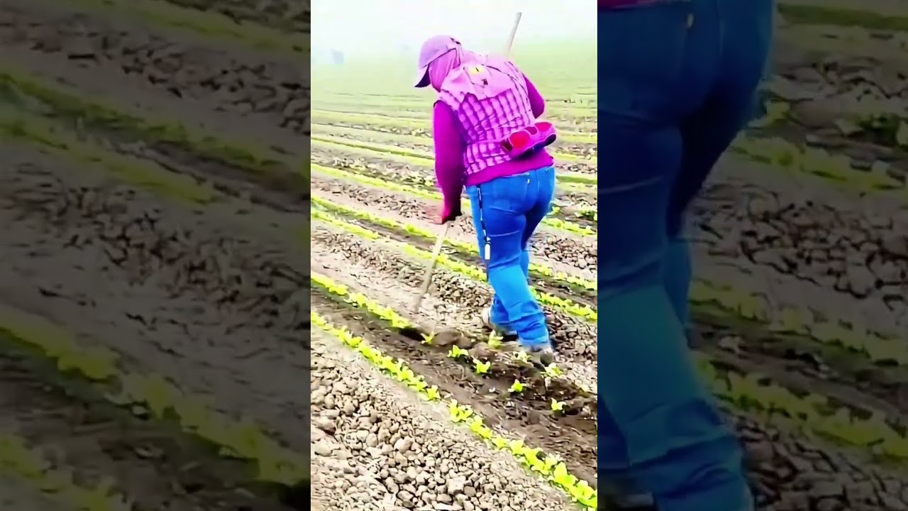 Smart Agriculture Tool 