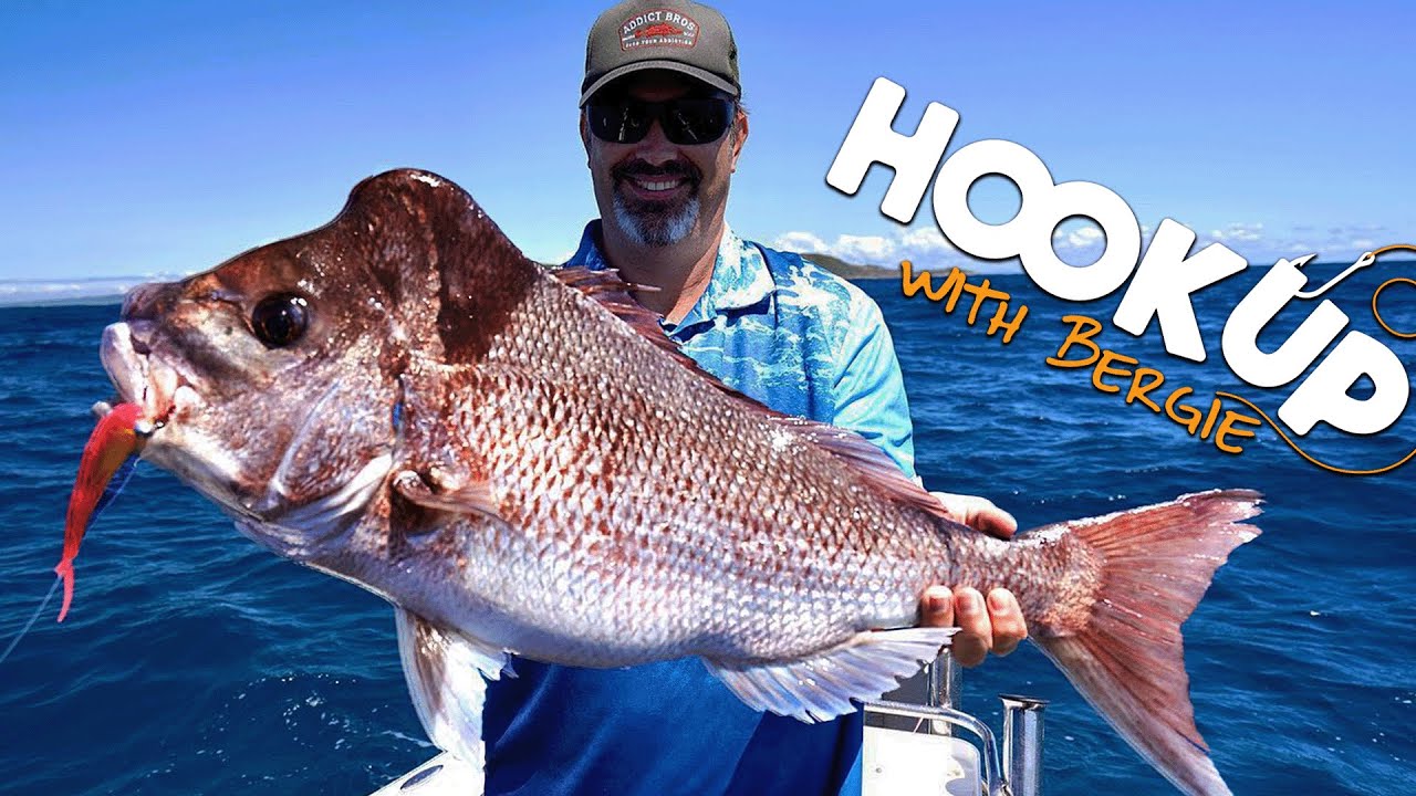 Monster Snapper on the Sunshine Coast using Soft Plastics