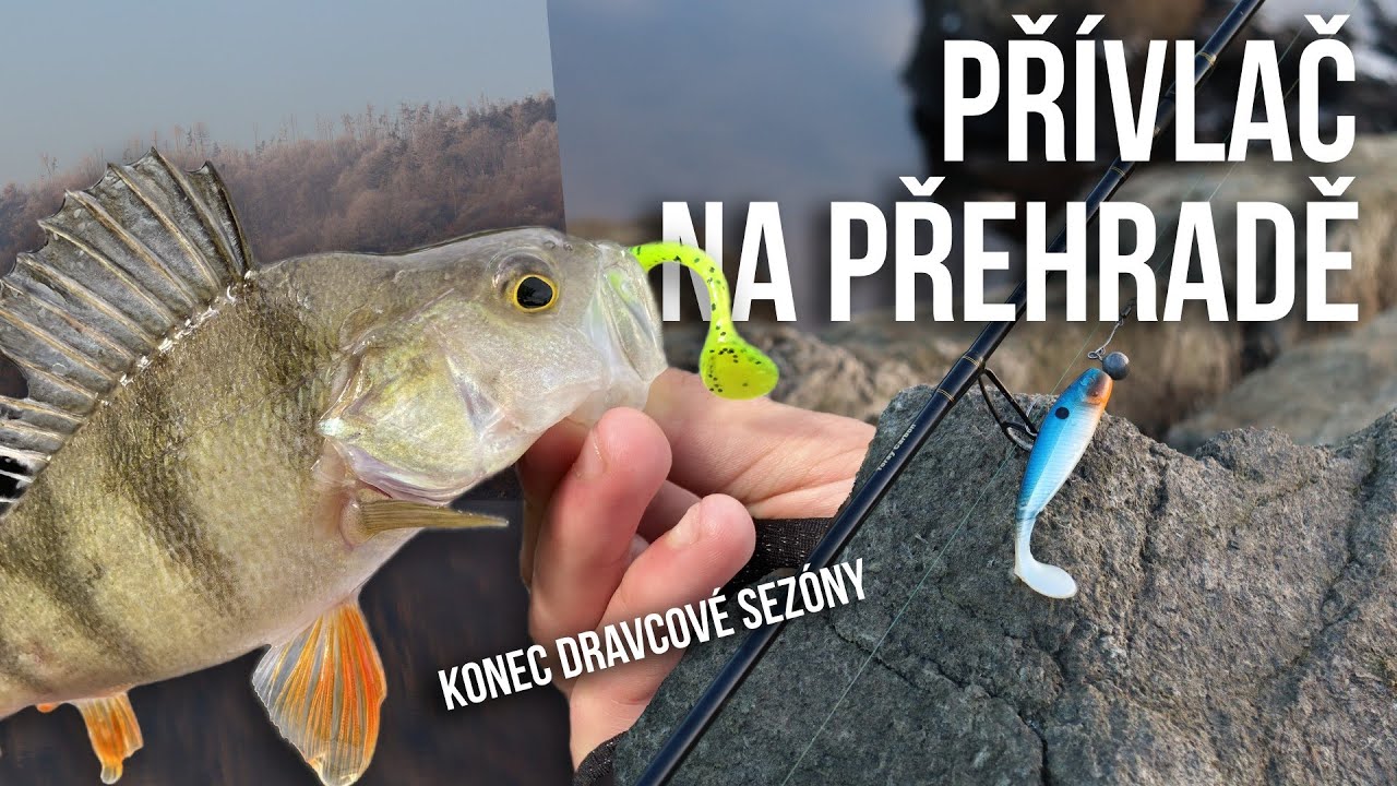 Lov dravců NA PŘEHRADĚ | Obrovský záběr u BUNKRU | Nejlepší nástrahy
