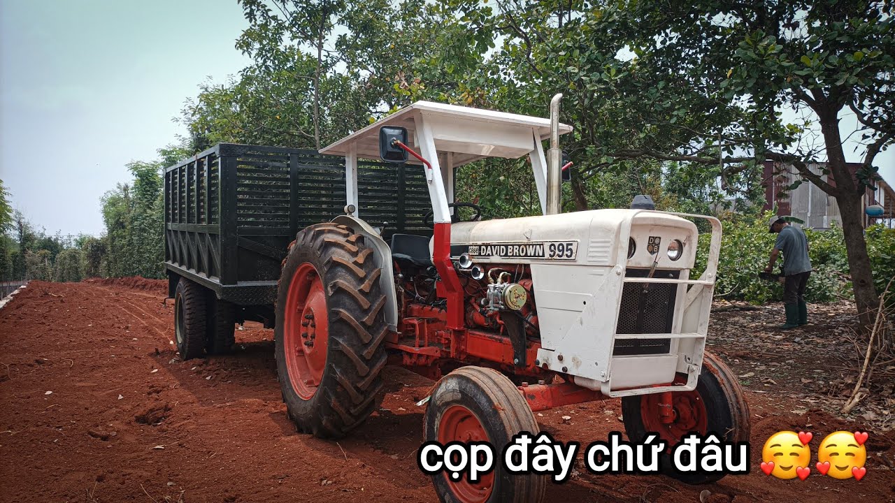 Hôm nay bắt được cọp David 995 đầu và moóc của 1 đại gia bình tiến | ISEKI Bình Phước