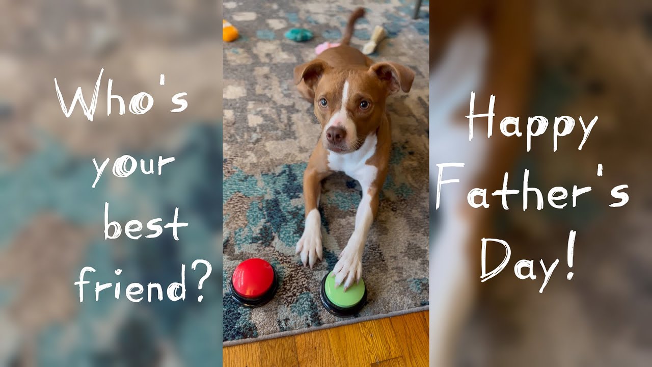 Talking DOG ~ Puppy Buttons ~ Happy Father's Day!