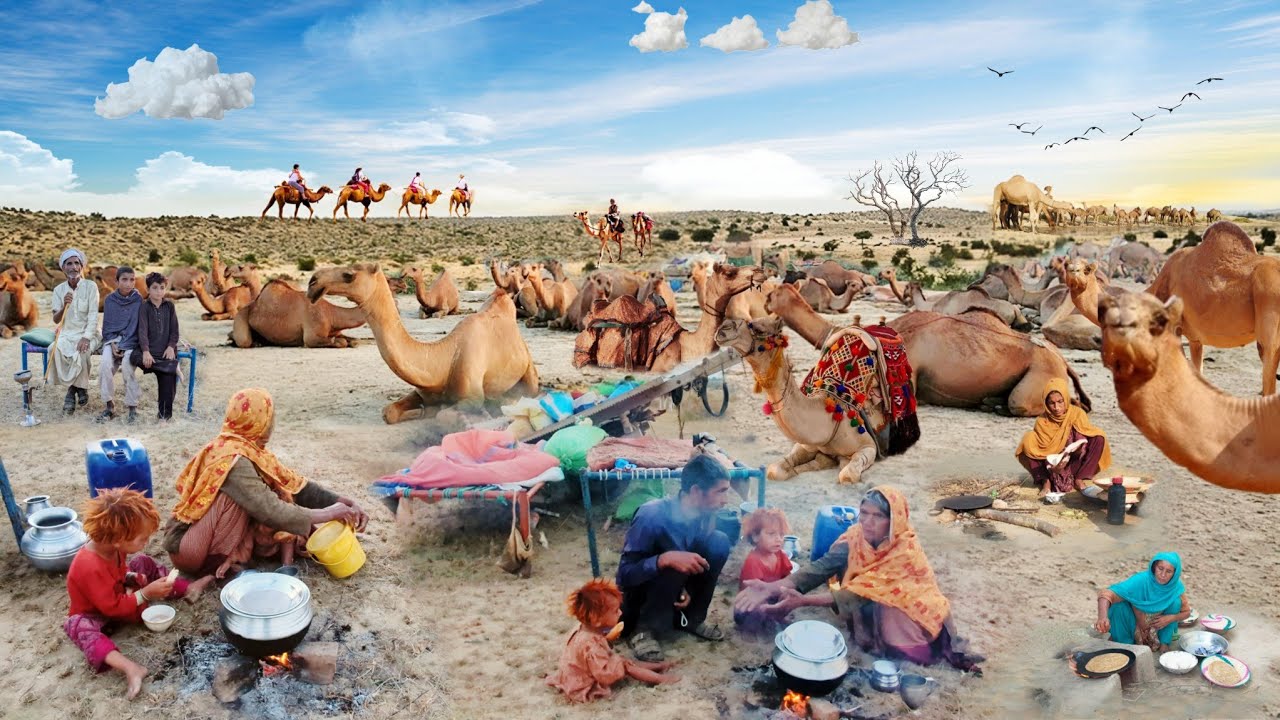People living in the desert and their morning routine ||Camel herders desert life style 