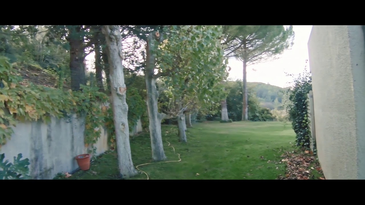 Cinematic shots with the SteadyWhoop and an anamorphic lens