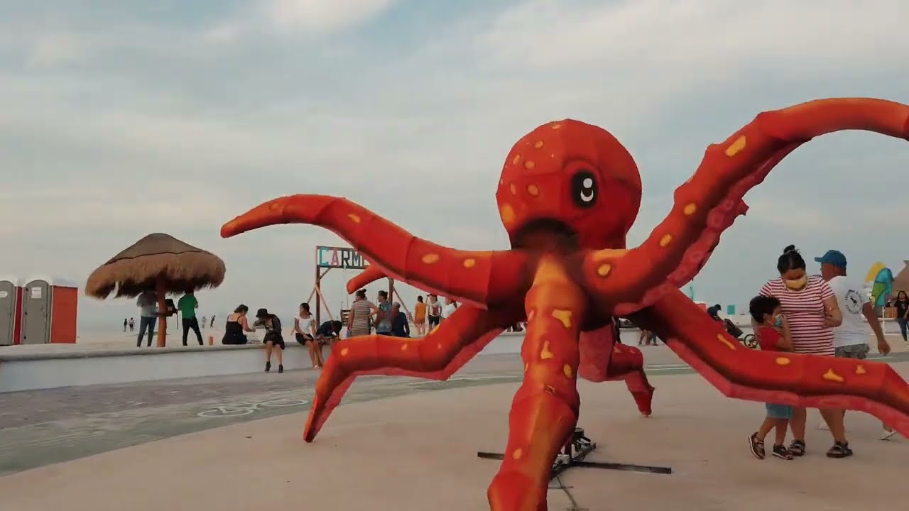 PLAYA, SOL Y AMIGOS | ESTO ES CIUDAD DEL CARMEN