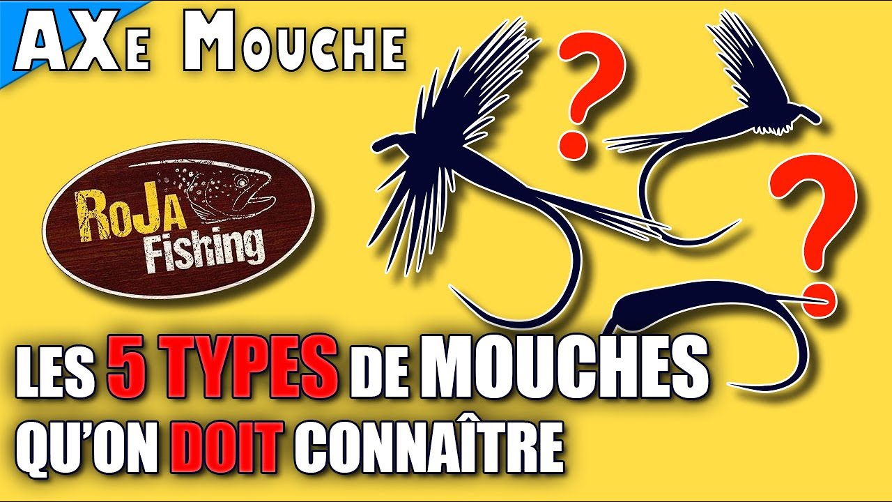 5 types de MOUCHES à connaître ABSOLUMENT avant de pêcher ! - AXe Mouche