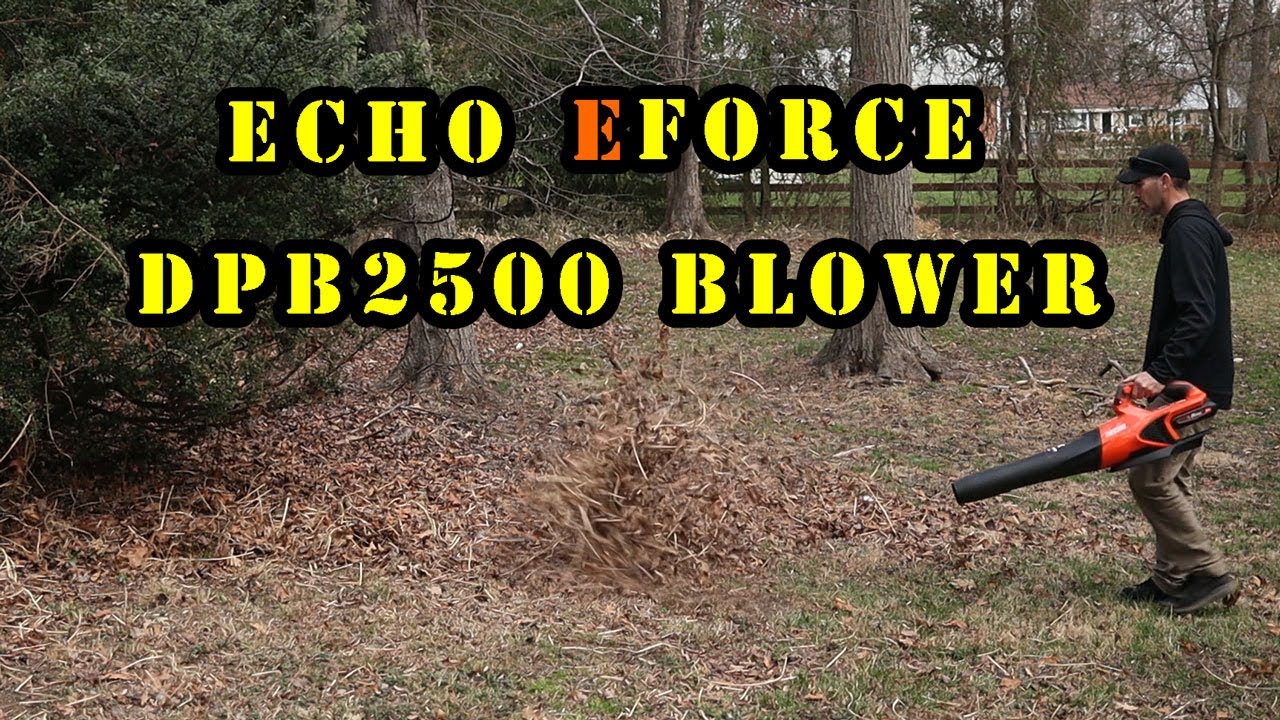 Echo eForce DPB2500 X series Hand Blower