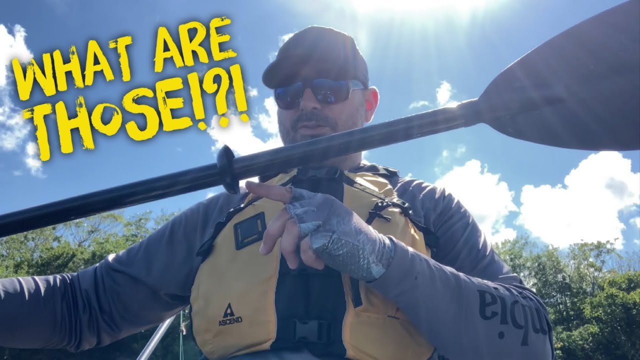 WHAT ARE THOSE!?! | How to Setup Your Paddle Drip Rings