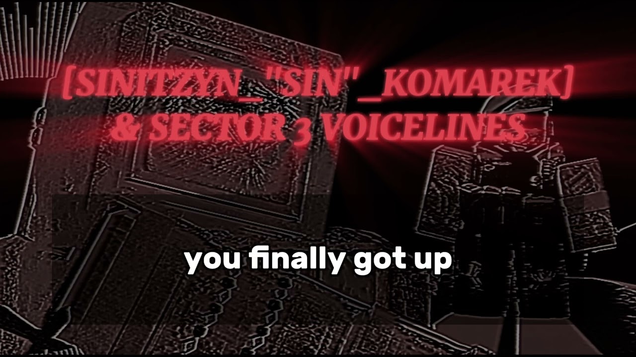 [SINITZYN_