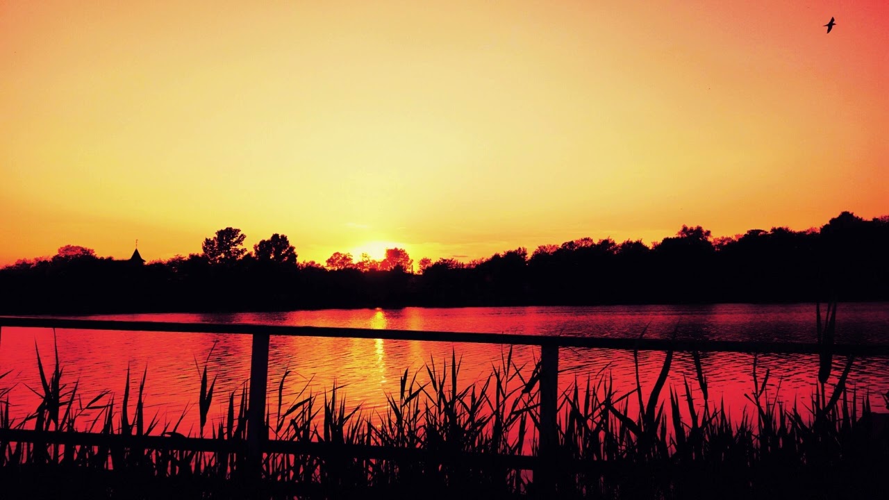 Relax Your Mind, Stop Overthinking, Ultra Calm, Relaxing Music - Música Relaxante Para Dormir