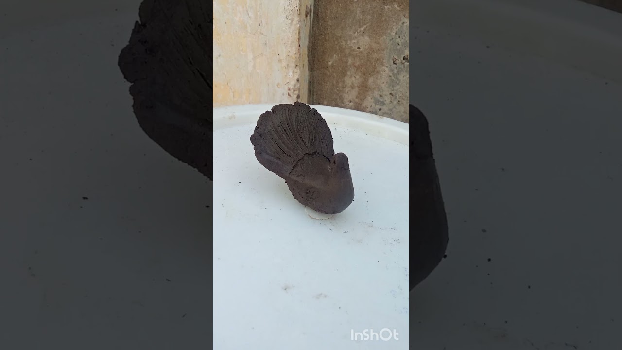 “Handmade pigeon 🕊️ with natural mudTraditional village style clay artLike | Share | Subscribe”