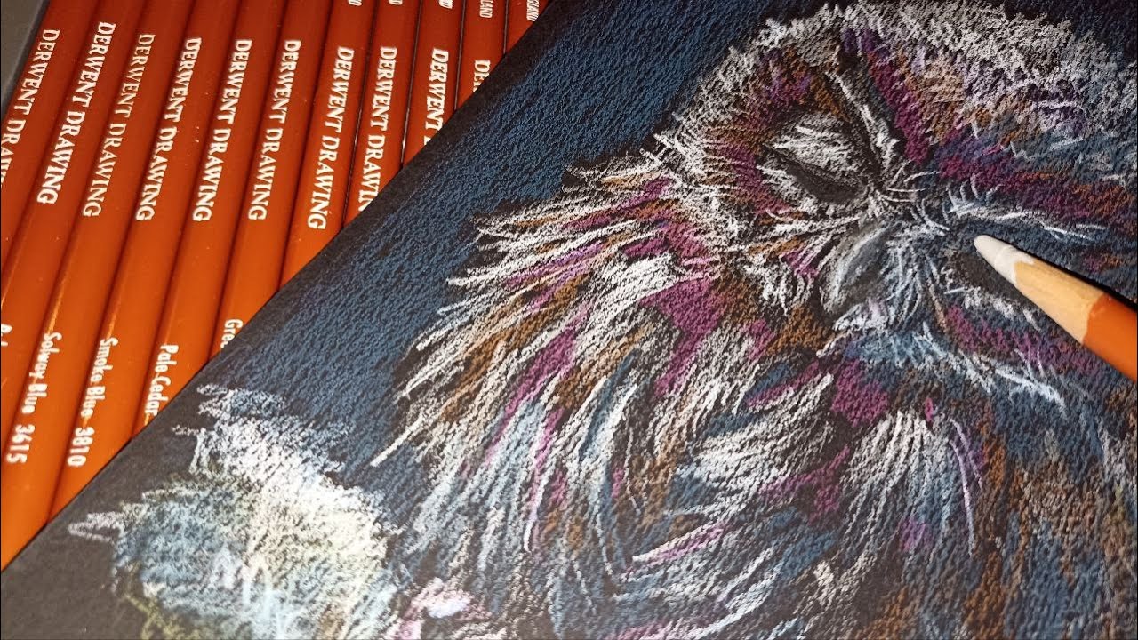 Owl Pencil Drawing ASMR in real time | No talking | No Music | Pencil and Fire sounds