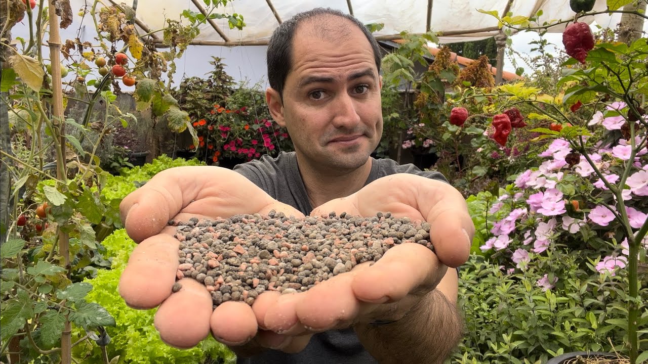 POSSO USAR ADUBO QUÍMICO NA HORTA?