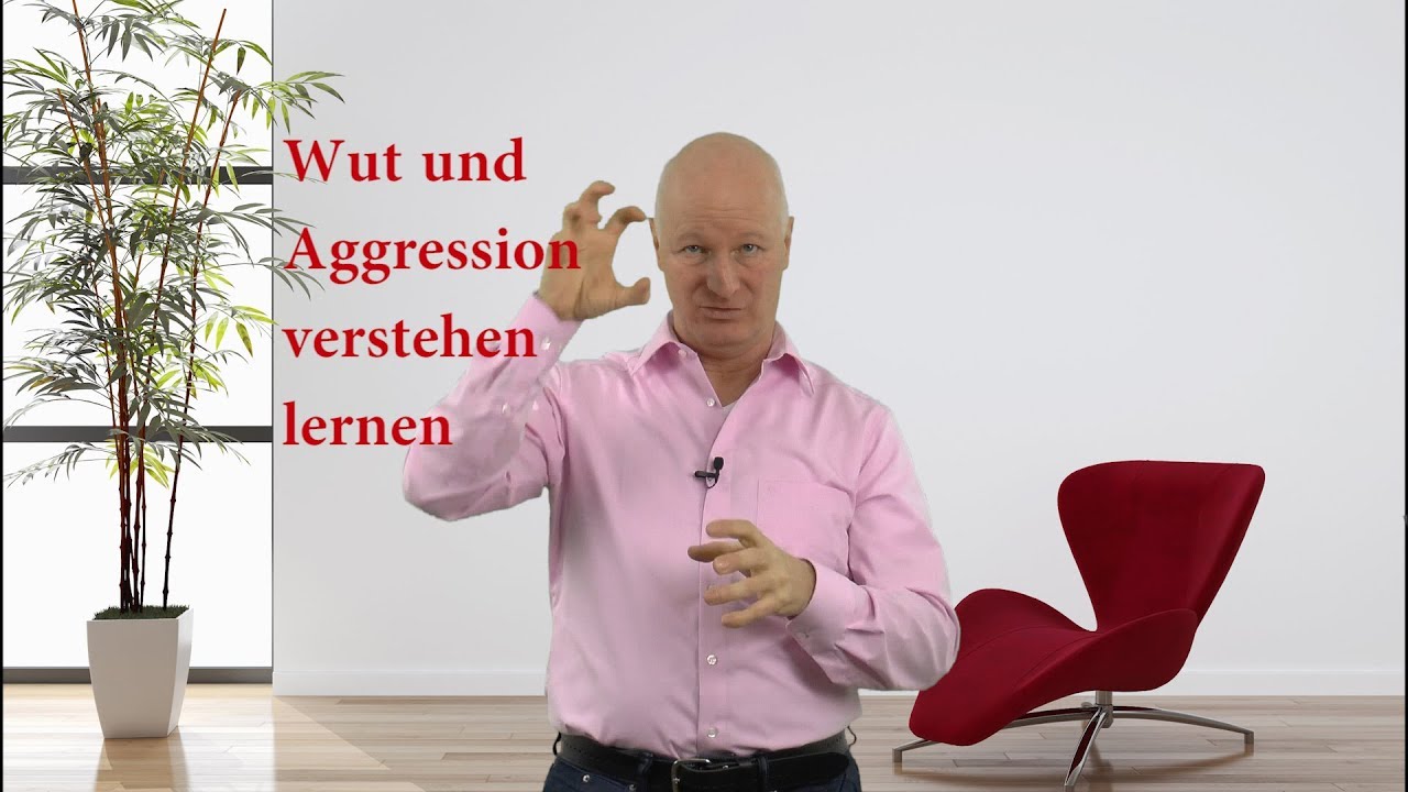 Wut und Aggression verstehen lernen - Video