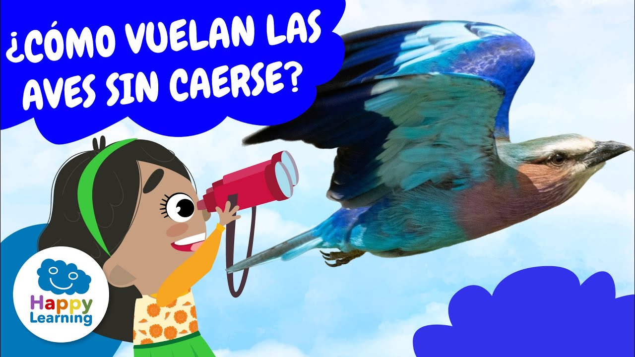 🐦 LAS AVES: ¿Sabías que VUELAN gracias a sus HUESOS? |Vídeos Educativos para Niños| @HappyLearningES
