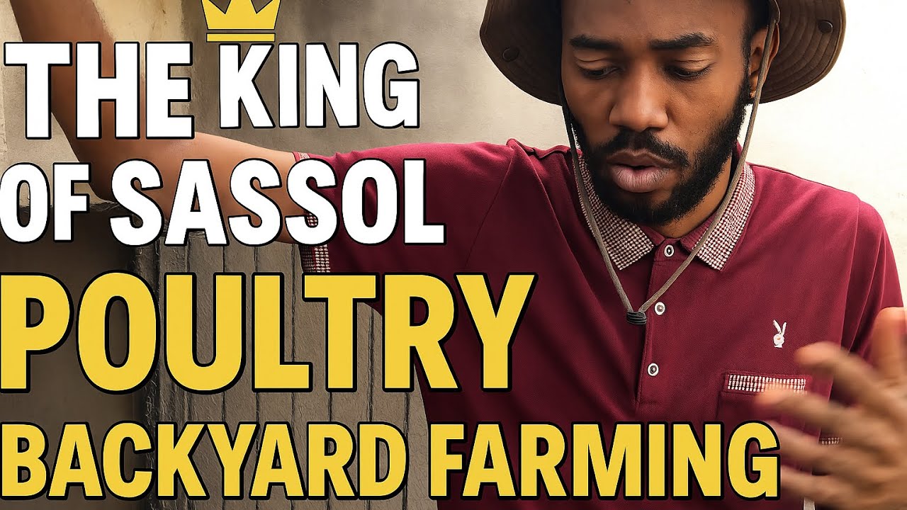 The King of Sassol 