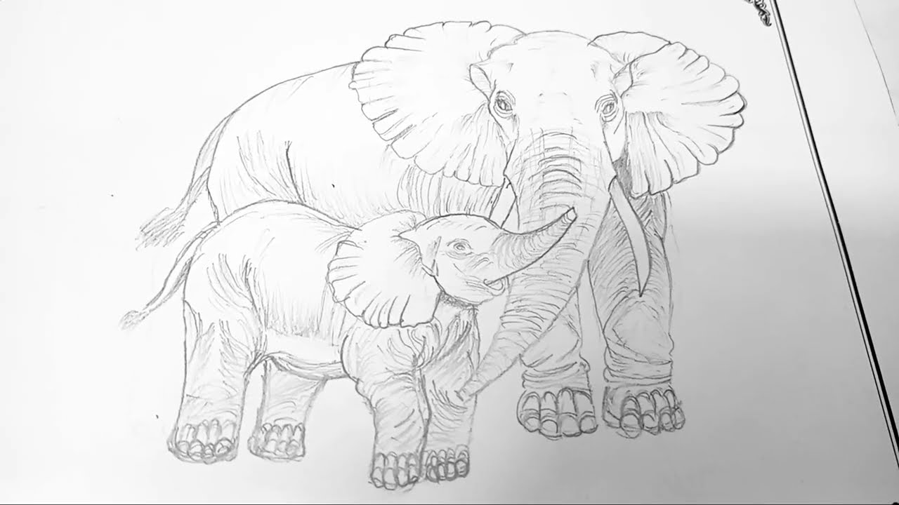 Elephant Drawing easy way ll Drawing-62