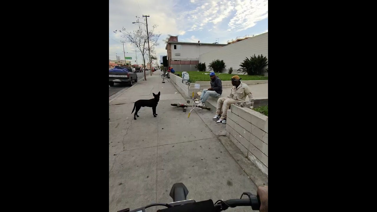 Riding Through a Hood In Hawthorn California 